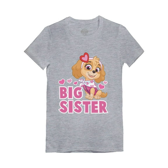 Paw Patrol Skye Big Sister Shirt Outfit Gift Toddler Kids Girls' Fitted T-Shirt 2T Gray