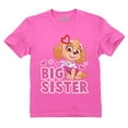 thumbnail image 1 of Paw Patrol Skye Big Sister T-Shirt - Girls' Promoted Sister Outfit - Toddler Kids' Big Sister Announcement Top - Nickelodeon Paw Patrol - Gift for Big Sisters - Kids' Paw Patrol Tee - 4T Pink, 1 of 5