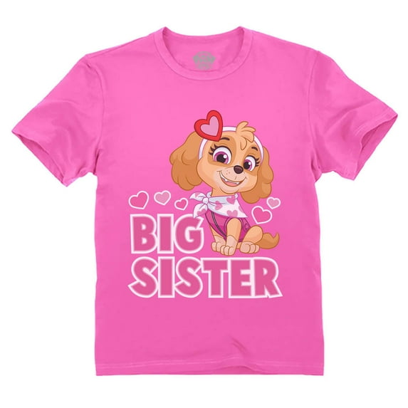 Paw Patrol Skye Big Sister T-Shirt - Girls' Promoted Sister Outfit - Toddler Kids' Big Sister Announcement Top - Nickelodeon Paw Patrol - Gift for Big Sisters - Kids' Paw Patrol Tee - 4T Pink