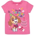thumbnail image 1 of Paw Patrol Skye Birthday Toddler Girls T-Shirt Toddler to Big Kid, 1 of 2