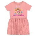 thumbnail image 1 of Paw Patrol Skye Easter Bunny Ruffle Sleeve Infant Toddler Fine Jersey Dress 18M Mauvelous Spot, 1 of 4