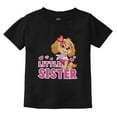thumbnail image 1 of Paw Patrol Skye Little Sister Newborn Outfit for Baby Girls Infant Kids T-Shirt 12M Black, 1 of 5