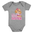 thumbnail image 1 of Paw Patrol Skye-themed Tstars Baby Bodysuit - Little Sister Newborn Outfit - Ideal Gift for Baby Girls - Adorable Baby Shower Present - Everyday Wear and Special Occasions - 12M (6-12M) Gray, 1 of 5