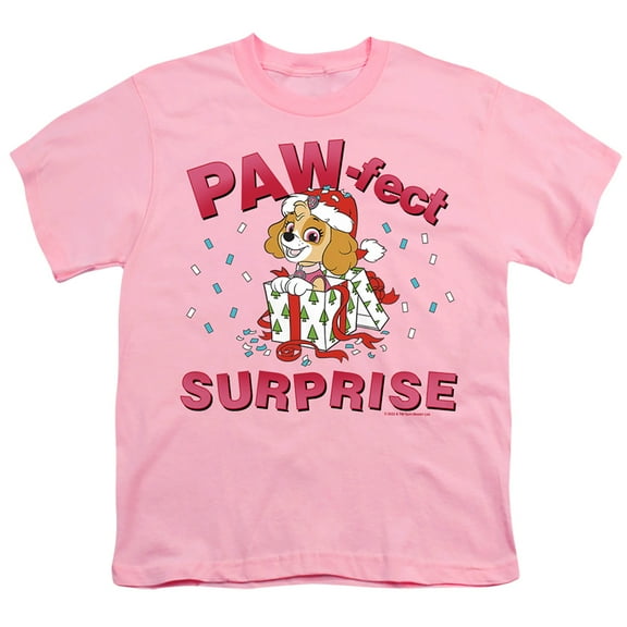 Paw Patrol The Paw-Fect Christmas Gift Skye Kids T Shirtfor Youth Toddler Boys and Girls
