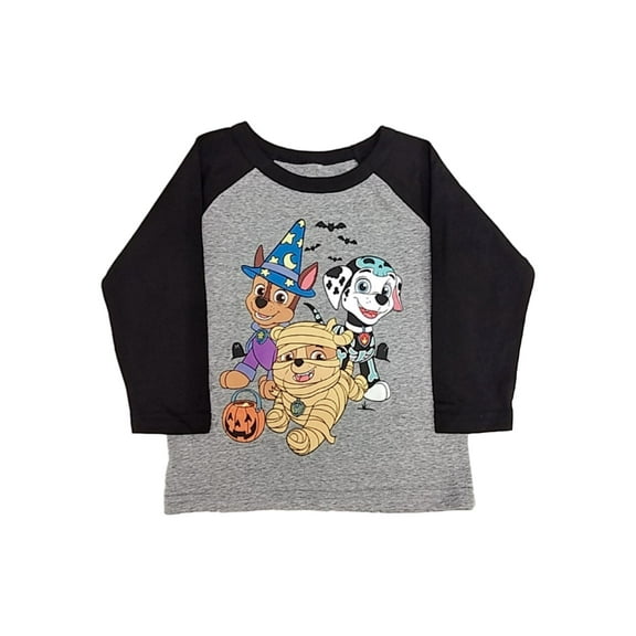Paw Patrol Toddler Boys Gray Puppy Dog Chase Long Sleeve Halloween T-Shirt 2T