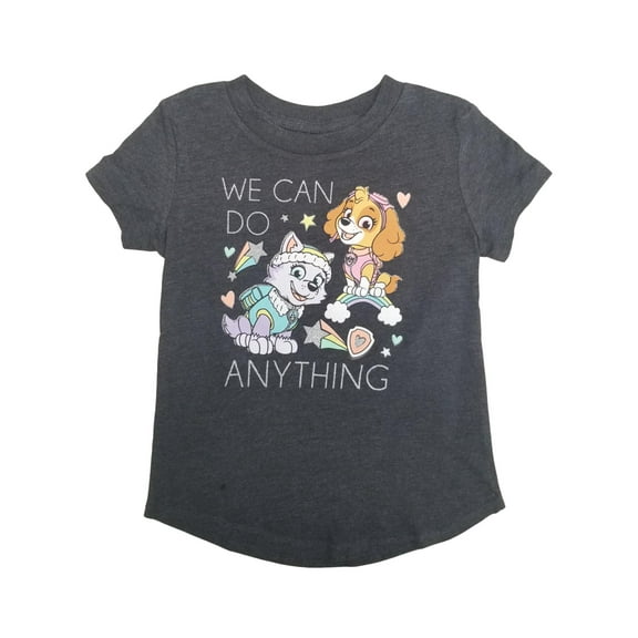 Paw Patrol Toddler Girls Gray Glitter We Can Do Anything T-Shirt Skye Shirt 2T