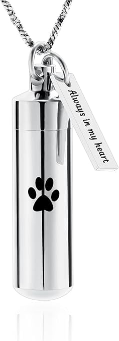 Paw Print Urn Necklace for Ashes Cylinder Cremation Urn Necklace for ...