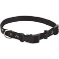 thumbnail image 1 of Paw Prints Reflective Dog Collar, 1 of 1