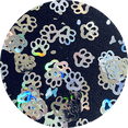 thumbnail image 1 of Paw Prints, 1 of 2