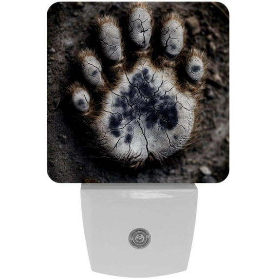 Paw prints LED Square Night Lights - Stylish and Convenient Illumination for Any Space - Pack of 2