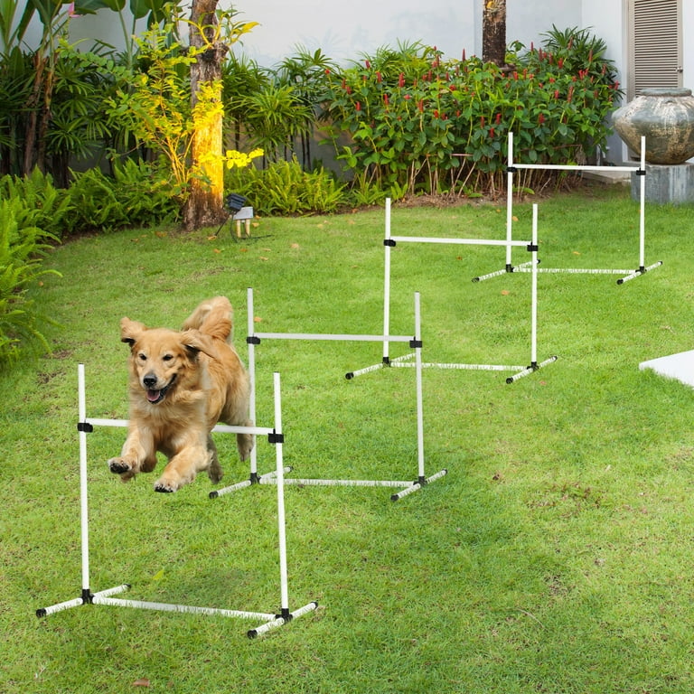 Pawhut agility equipment cheap