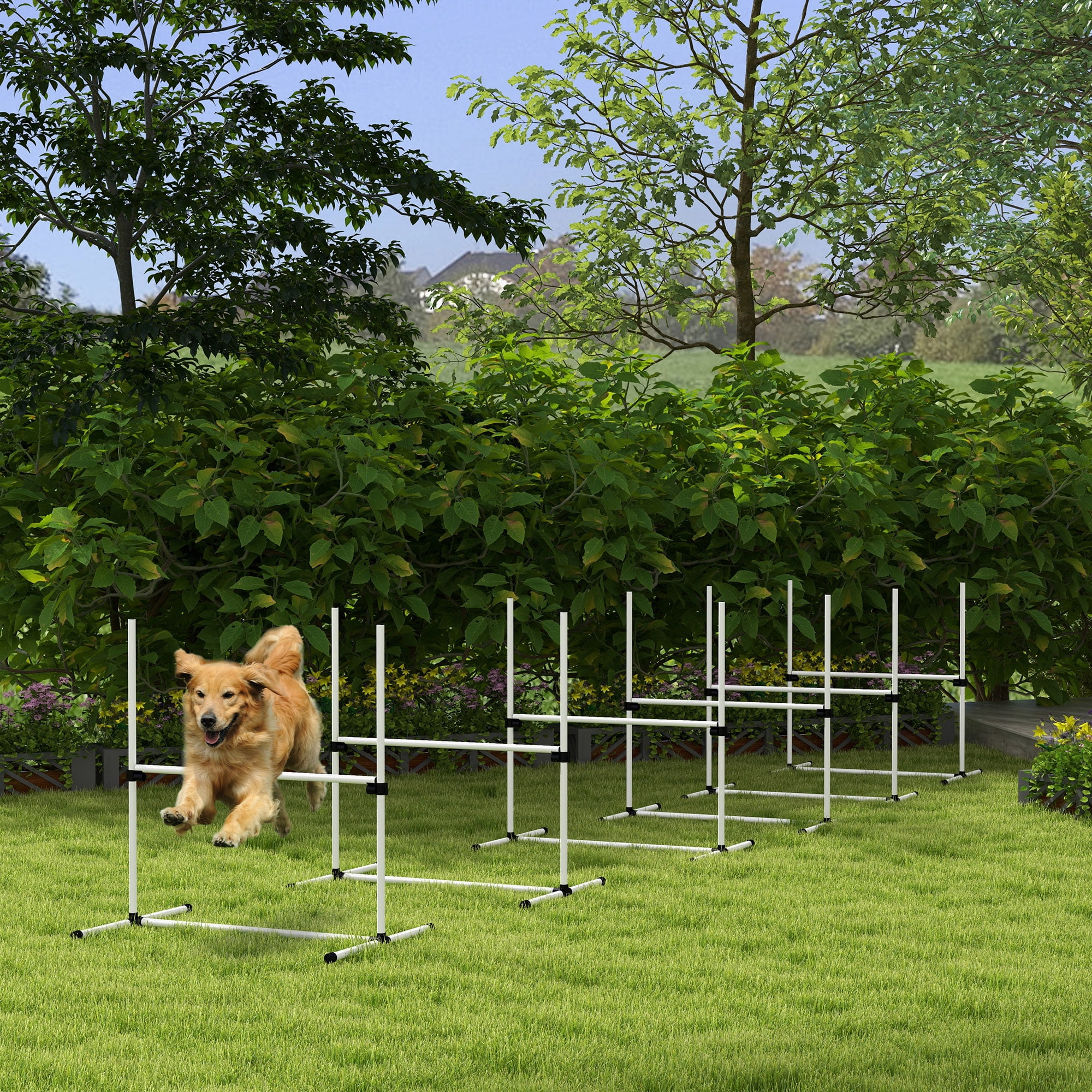 White 6-Piece Adjustable Dog Agility Training Kit with Carry Bag