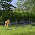 thumbnail image 1 of PawHut 8 Piece Dog Agility Set with Adjustable Height Jump Bars, Blue, 1 of 9