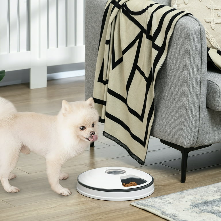Digital automatic pet feeder hotsell
