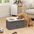 thumbnail image 1 of PawHut Dog Feeding Station w/ Storage Drawer, 2 Elevated Dog Bowls, Gray, 1 of 9