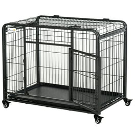 Vibrant Life, Single-Door Folding Dog Crate with Divider, Small, 22