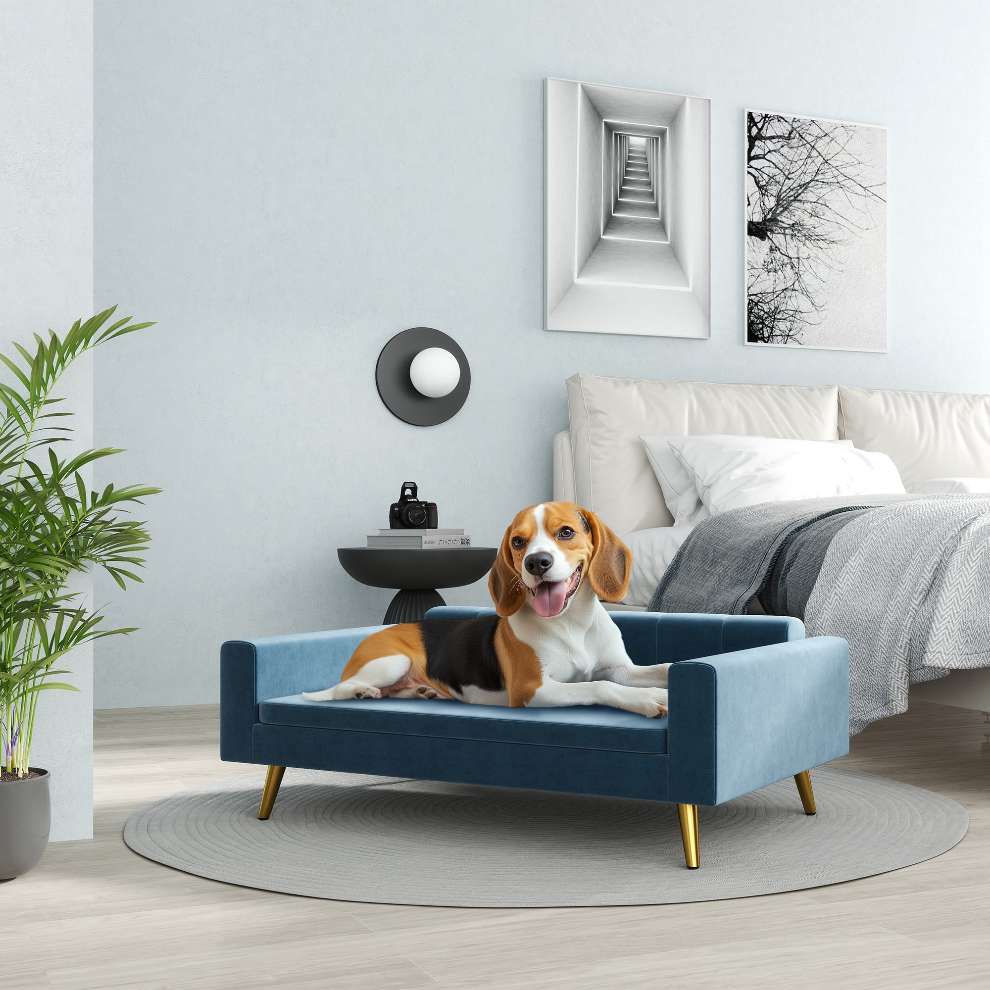 Modern Dark Blue Velvet Dog Sofa Bed with Gold Legs