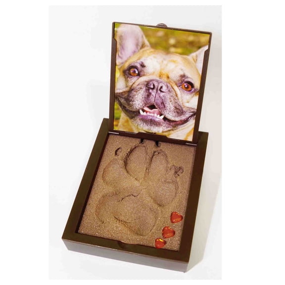 PawPals Paw Print Keepsake Classic Mold Kit, Large