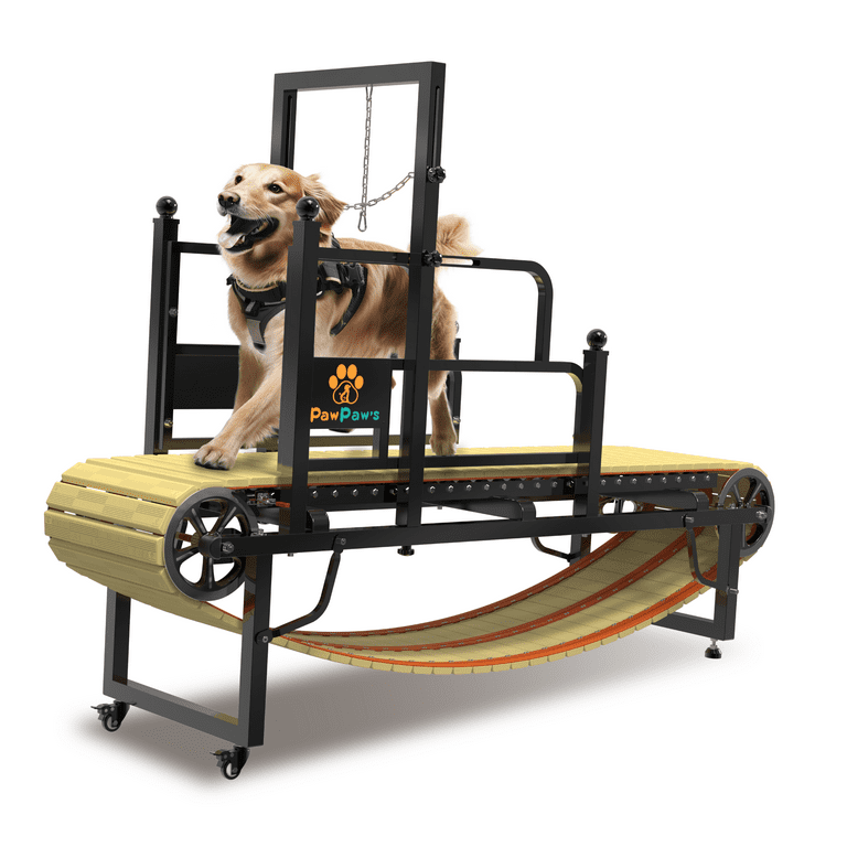 PawPaw s Dog Treadmill for Large Dogs with Brake. Dog Slatmill for Fit Healthy Dog Life Dog Treadmill for Indoor Outdoor. Dog Treadmill for Dogs