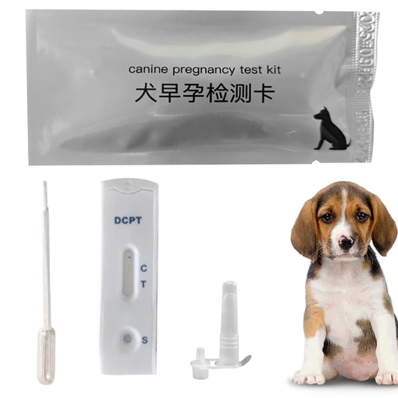 PawPrime Early Detection Canine Pregnancy Test Strips for Dogs - Fast & Accurate Results, Individually Sealed Foil Pouches (1 Test Kit)