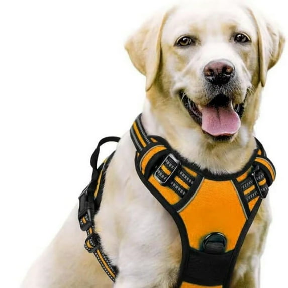 PawSafety No Pull Harness for - Ideal Vest for Dogs and Cats Durable and Comfortable Design for Indoor and Outdoor Use