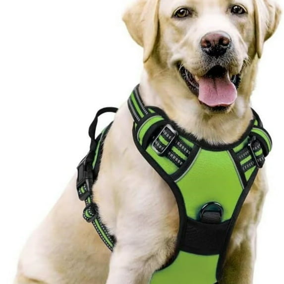 PawSafety No Pull Harness for - Ideal Vest for Dogs and Cats Durable and Comfortable Design for Indoor and Outdoor Use