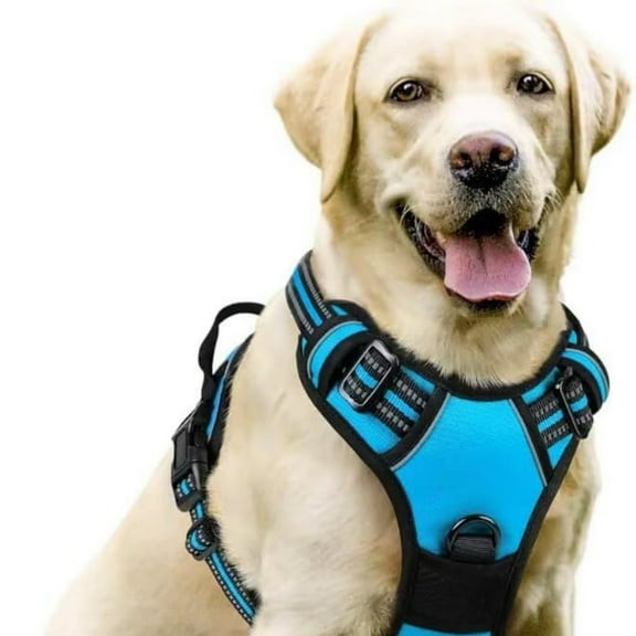 PawSafety No-Pull Reflective Dog Harness, Adjustable Comfort Fit Harness for Walking and Training