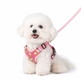 thumbnail image 1 of PawWave 3-Piece No Pull Dog Harness Set with Leash & Car Seat Belt, Adjustable Reflective Harness for Small & Medium Dogs, 1 of 11