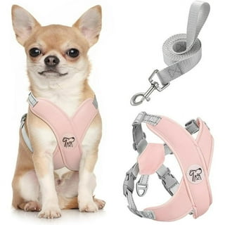 No Pull Dog Harnesses in Dog Collars Leashes and Harnesses