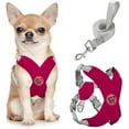 thumbnail image 1 of Pawaboo Dog Harness with Leash Set, X-Frame No Pull Pet Harness, Adjustable Choke Free Dog Vest Harness for Small Medium Dogs & Puppies, Breathable Puppy Vest with Leash for Outing, S, Magenta, 1 of 7