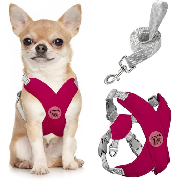 Pawaboo Dog Harness with Leash Set, X-Frame No Pull Pet Harness, Adjustable Choke Free Dog Vest Harness for Small Medium Dogs & Puppies, Breathable Puppy Vest with Leash for Outing, S, Magenta
