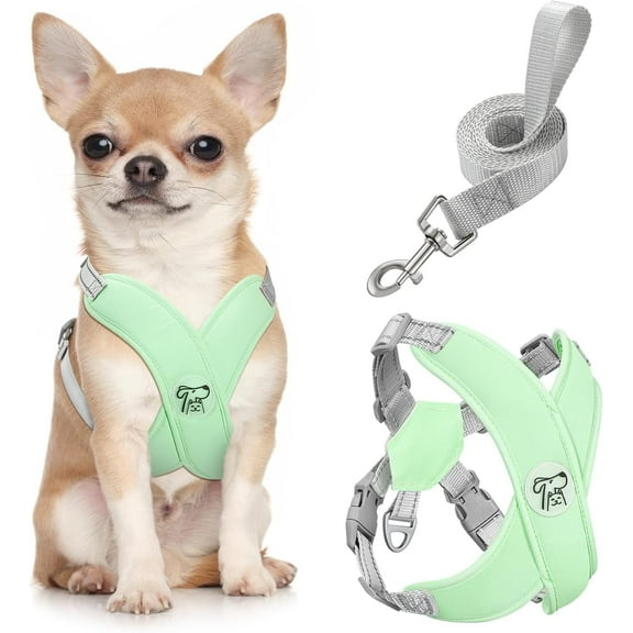 Pawaboo Dog Harness with Leash Set, X-Frame No Pull Pet Harness, Adjustable Choke Free Dog Vest Harness for Small Medium Dogs & Puppies, Breathable Puppy Vest with Leash for Outing, S, Mint Green