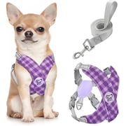 Pawaboo Dog Harness with Leash Set, X-Frame No Pull Pet Harness, Adjustable Choke Free Dog Vest Harness for Small Medium Dogs & Puppies, Breathable Puppy Vest with Leash for Walking, S, Purple Plaid