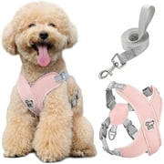 Pawaboo Dog Harness with Leash Set, X-Frame No Pull Pet Harness, Adjustable Choke Free Dog Vest Harness for Small Medium Dogs & Puppies, Breathable Puppy Vest with Leash for Walking Outing M, Pink