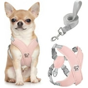 Pawaboo Dog Harness with Leash Set, X-Frame No Pull Pet Harness, Adjustable Choke Free Dog Vest Harness for Small Medium Dogs & Puppies, Breathable Puppy Vest with Leash for Walking Outing (S, Pink)