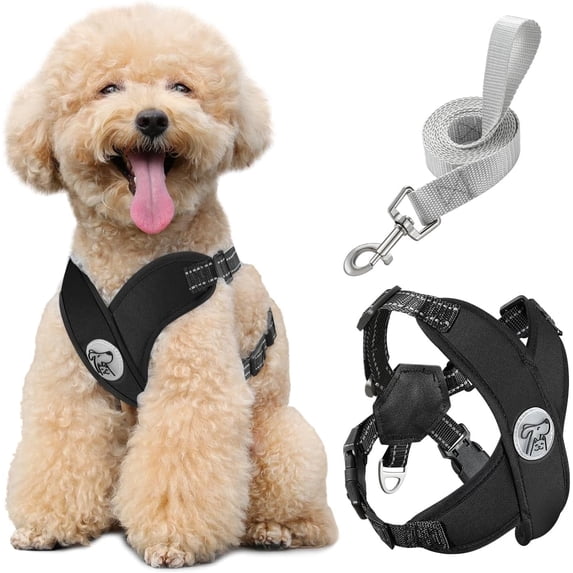 Pawaboo Dog Harness with Leash Set, X-Frame No Pull Pet Harness, Adjustable Choke Free Dog Vest Harness for Small Medium Dogs & Puppies, Breathable Puppy Vest with Leash for Walking Outing (M, Black)