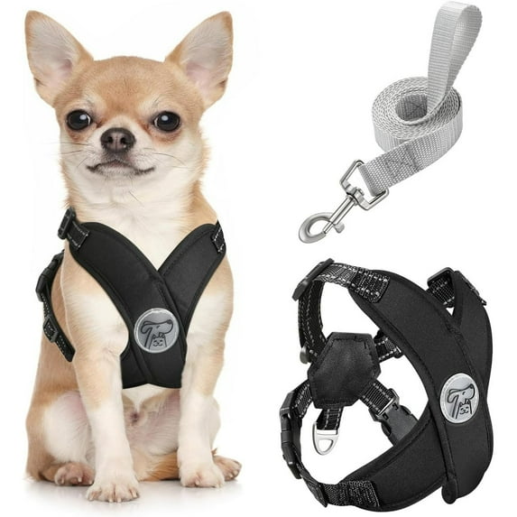 Pawaboo Dog Harness with Leash Set, X-Frame No Pull Pet Harness, Adjustable Choke Free Dog Vest Harness for Small Medium Dogs & Puppies, Breathable Puppy Vest with Leash for Walking Outing (S, Black)