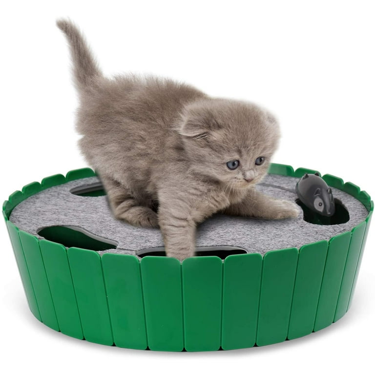 Motorized mouse top for cats