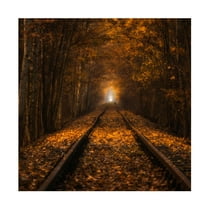 Pawel Uchorczak 'Autumn Tunnel' Canvas Art