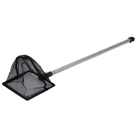 Pawfly 3 Inch Telescopic Aquarium Net Fine Mesh Small Fishnet with Extendable 9-24 inch Long Handle