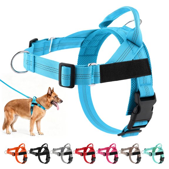 Pawlylab Co No Pull Harness For Dogs No Pull Harness Large Dog Adjustable