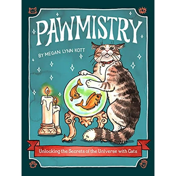 Pre-Owned Pawmistry : Unlocking the Secrets of the Universe with Cats (Hardcover) 9781797209593