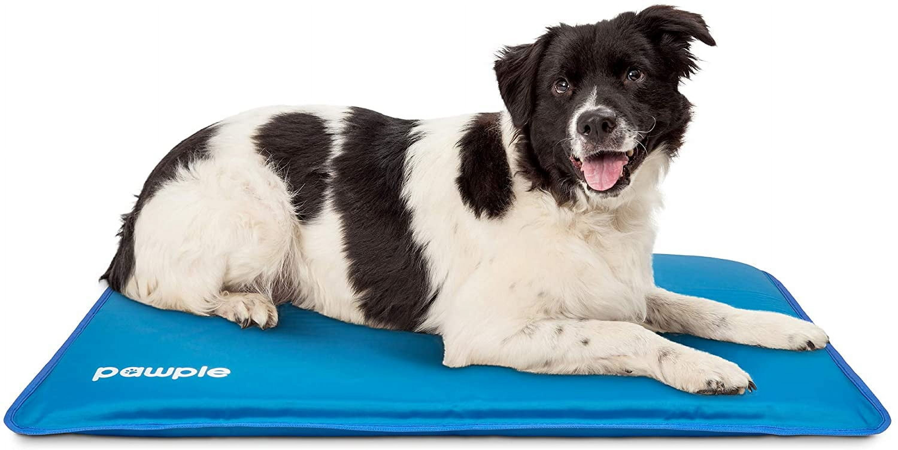 Pawple Blue Medium Cooling Mat for Dogs with Foam Base