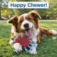 thumbnail image 1 of Pawpourri Blue Crab Rope and Chew Toy for Dogs and Cats, 1 of 4