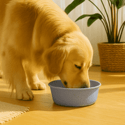 Pawpourri Dog Bowl 32.1oz - rated 4.3 stars from 17 reviews