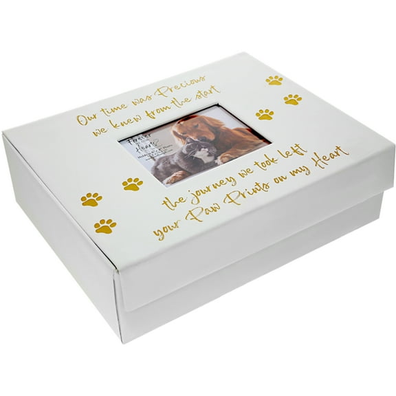 Pavilion Gift Company - Pawprints On My Heart - 11" x 9" Memory Box