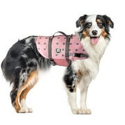 Paws Aboard Dog Life Jacket - Keep Your Canine Safe with a Neoprene Life Vest - Designer Life Jackets - Perfect for Swimming and Boating - Pink/Silver, Medium