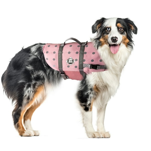 Paws Aboard Dog Life Jacket - Keep Your Canine Safe with a Neoprene Life Vest - Designer Life Jackets - Perfect for Swimming and Boating - Pink/Silver, Medium