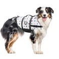 thumbnail image 1 of Paws Aboard Doggy Life Jacket Medium Nautical, 1 of 8