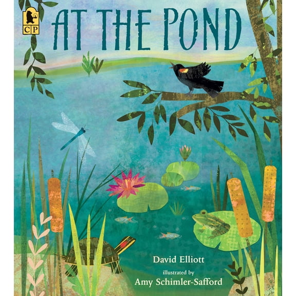 Paws, Fins, Feathers, Claws At the Pond, (Paperback)